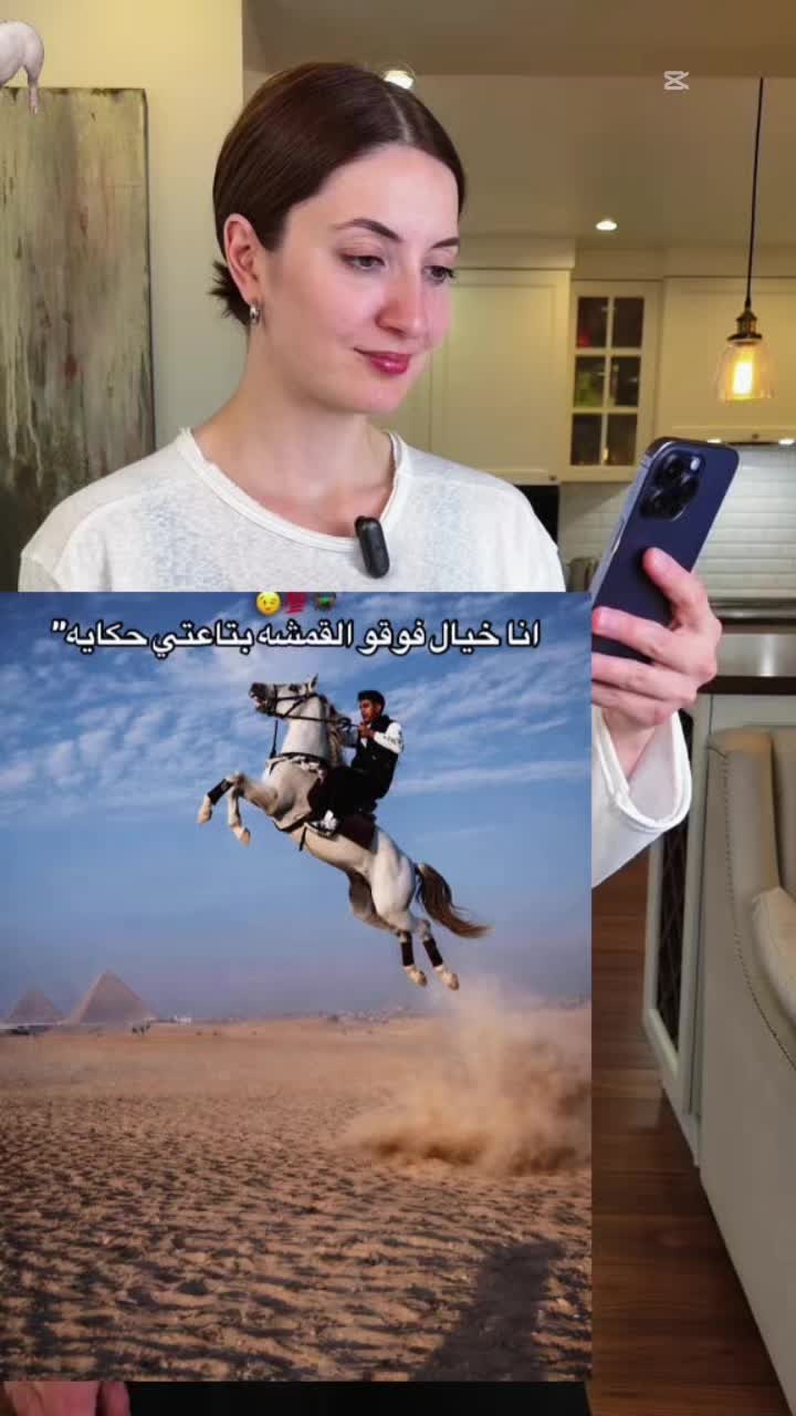 @user9797169677483