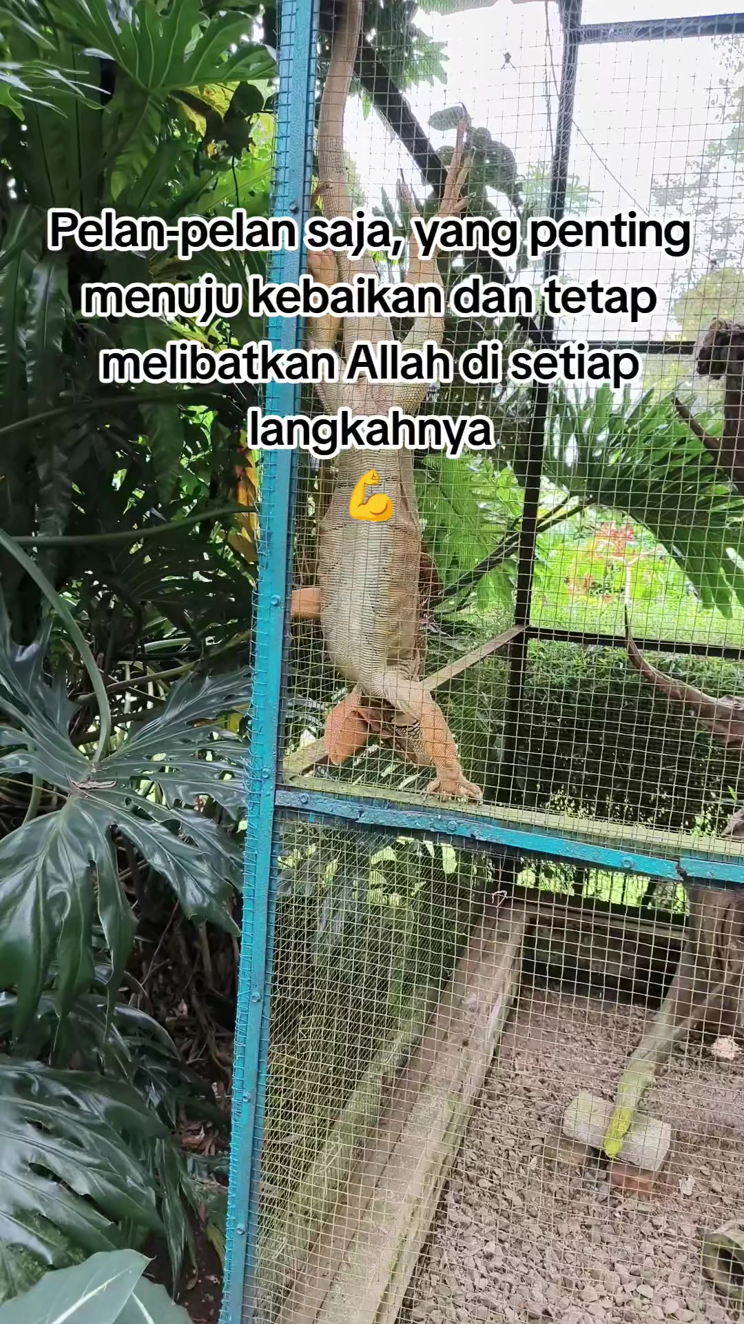 @Belajar Bersama