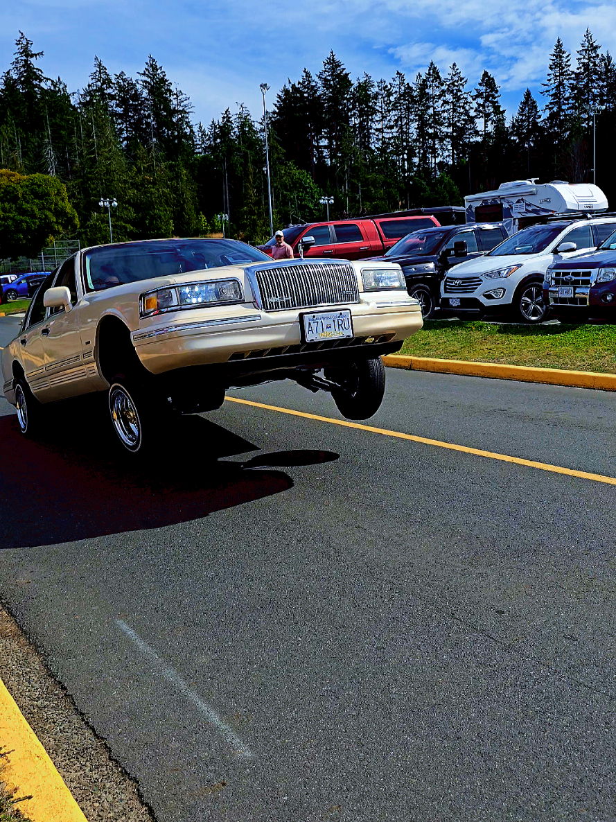 @miss81cutlass