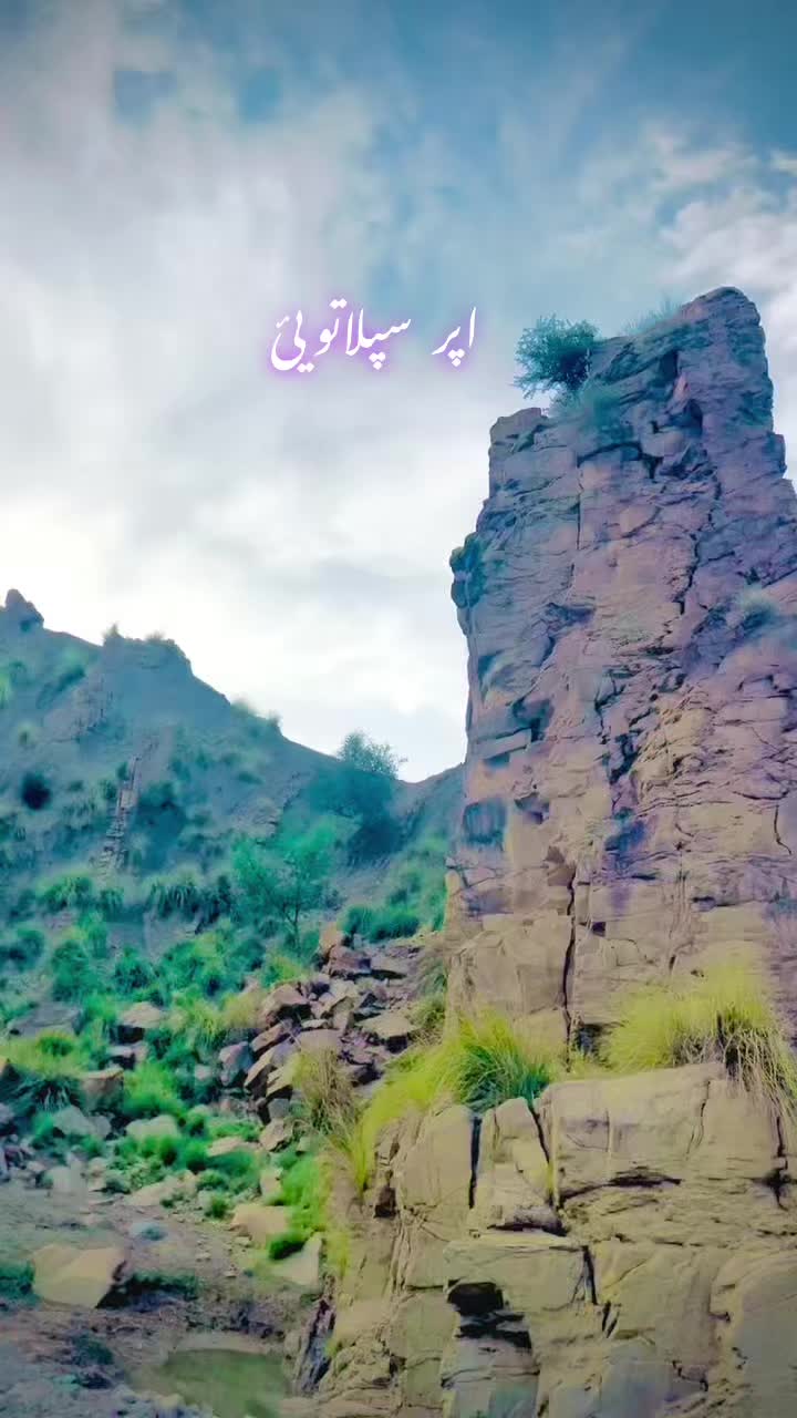 @Dr Sher Mehjur 🇸🇦🇵🇰