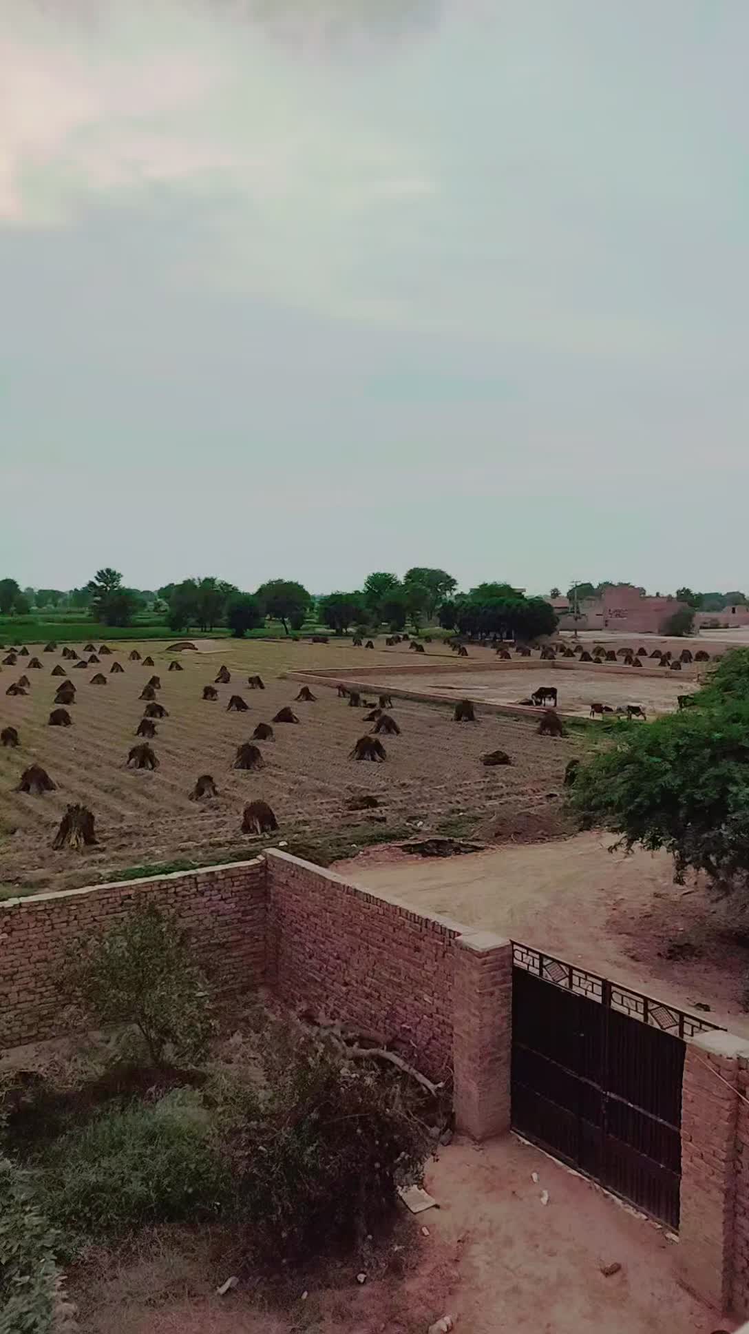 @Mudassar Mudassar Il