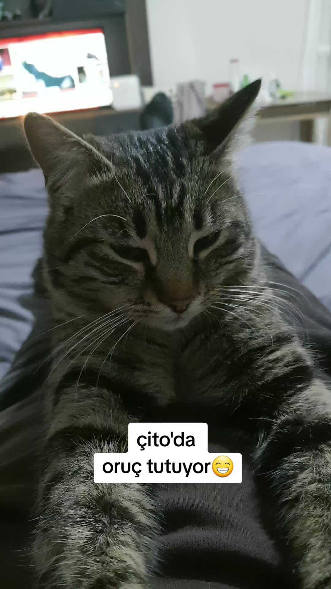 @kuzey