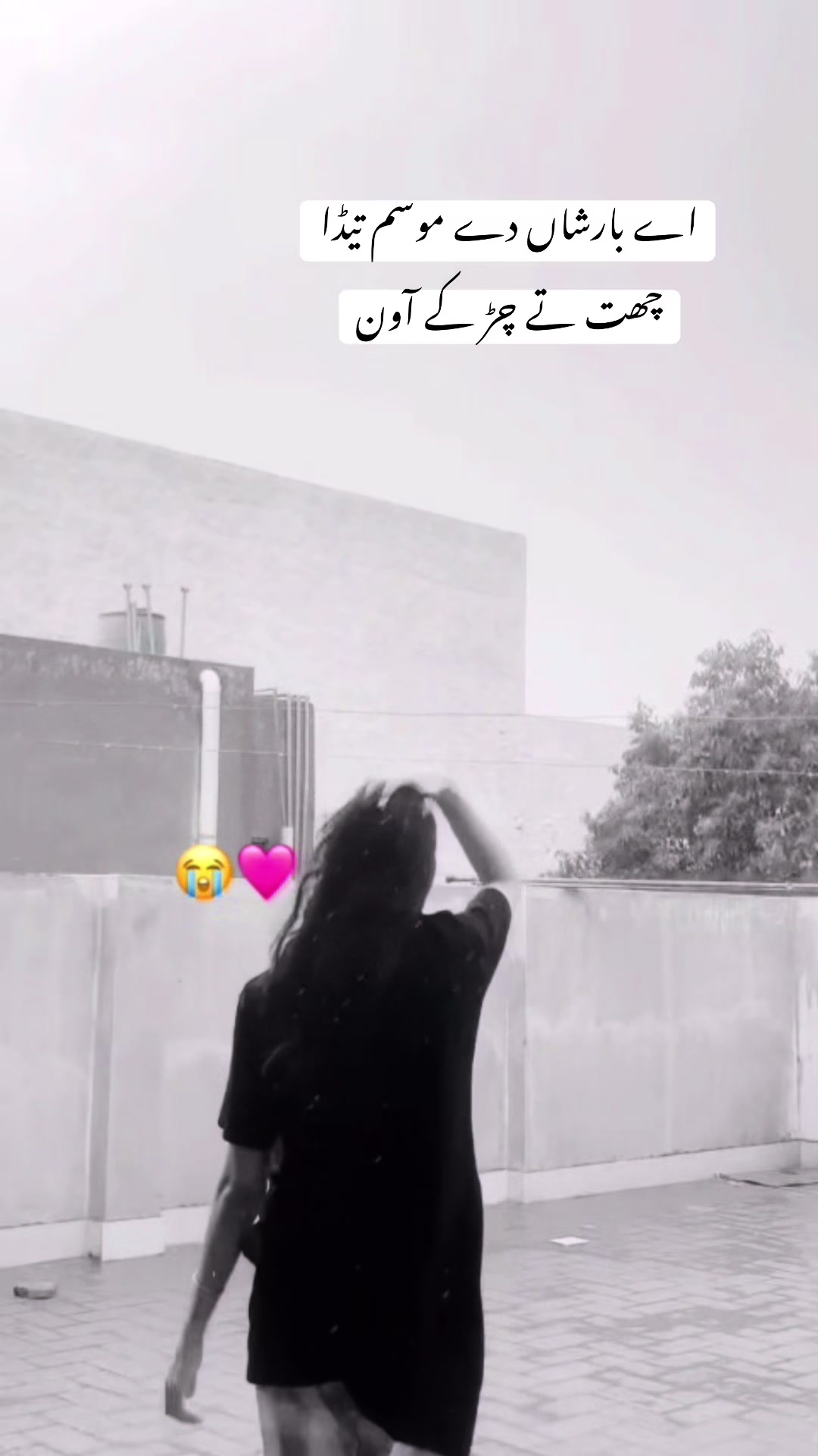 @AREESHY🐺