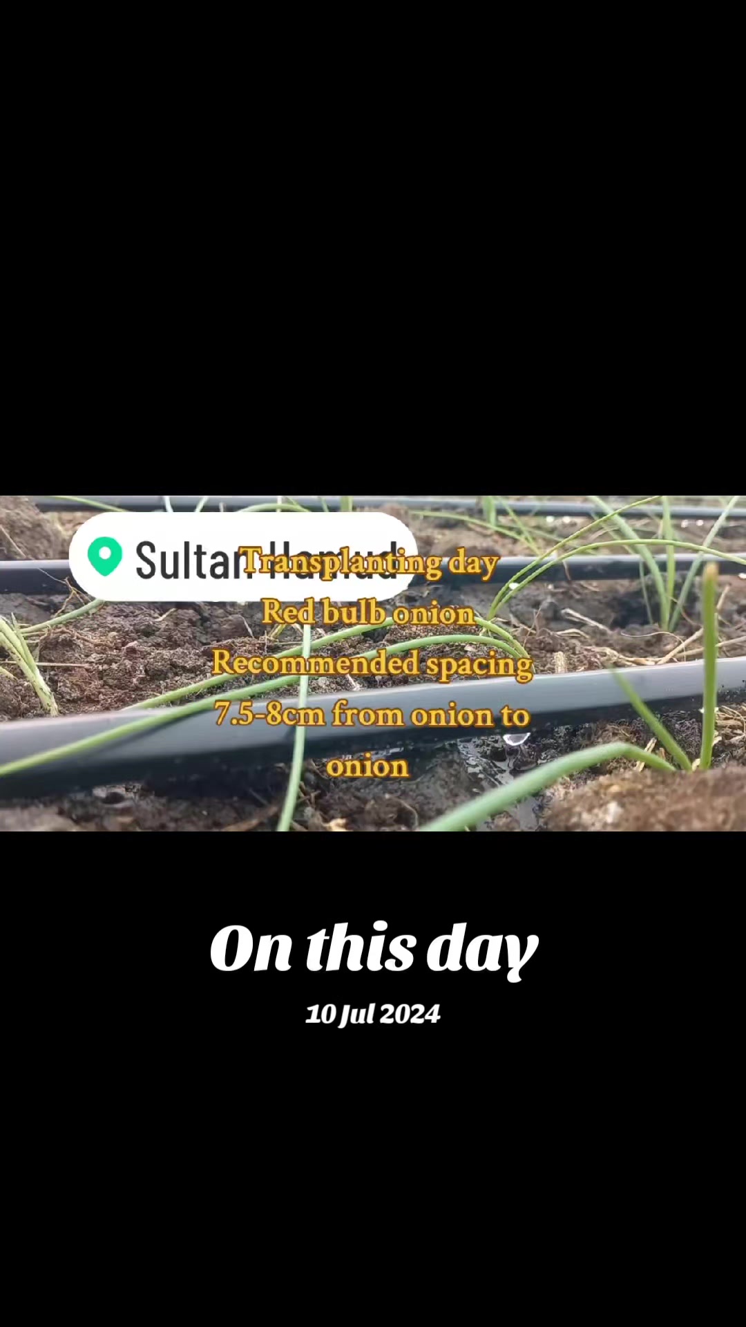 @Agri-Irrigation Africa Limited