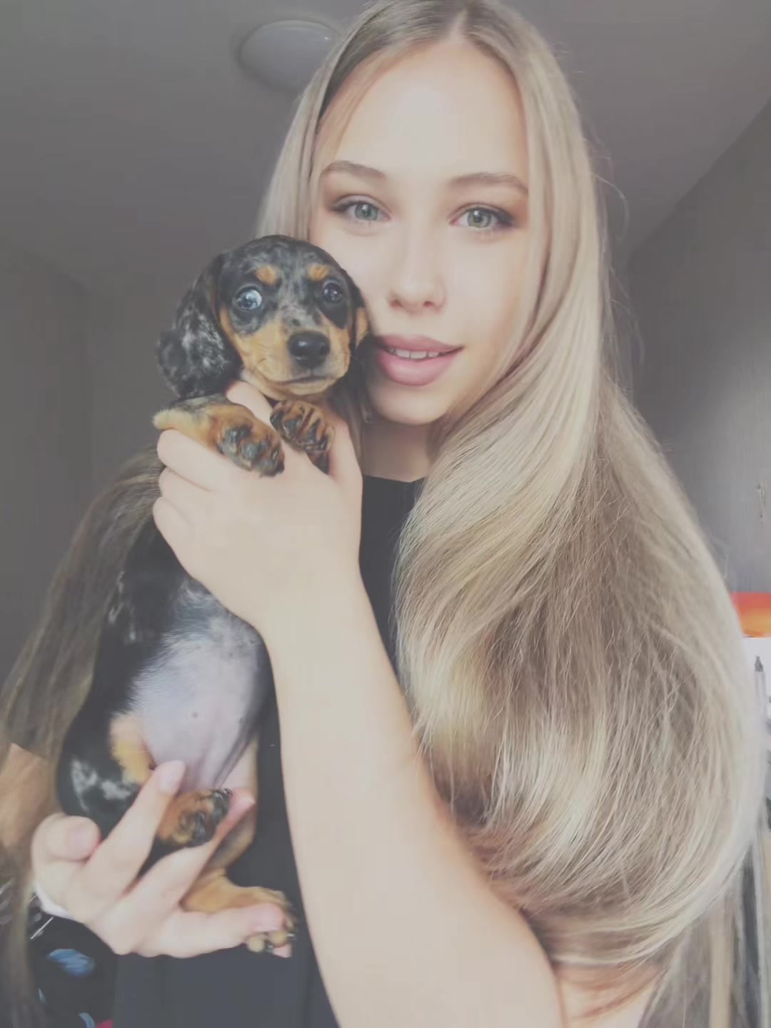 @vasilenko.s