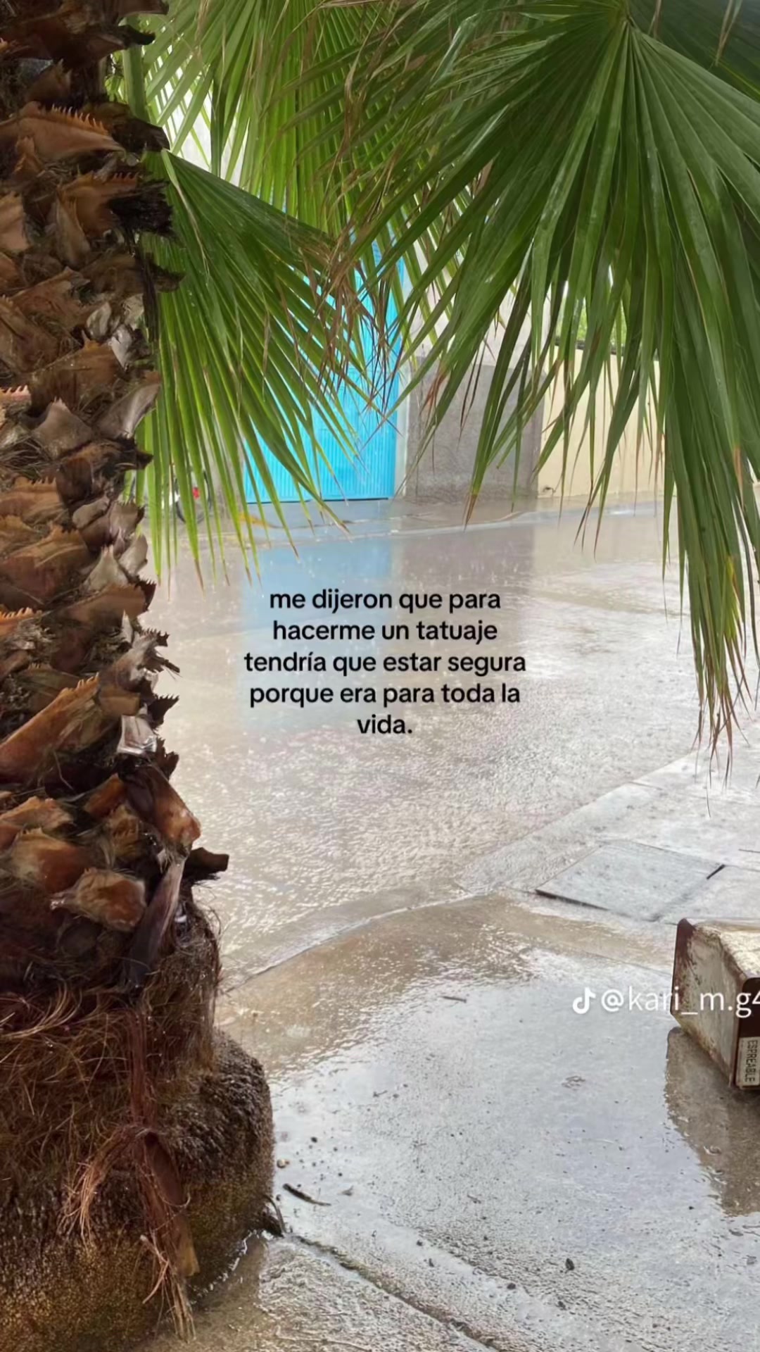 @Yayis🐥💛