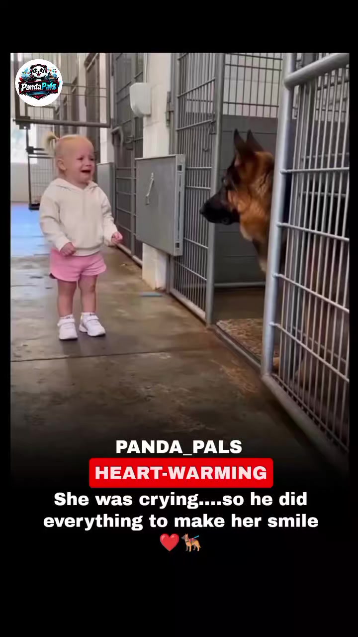 @PandaPals