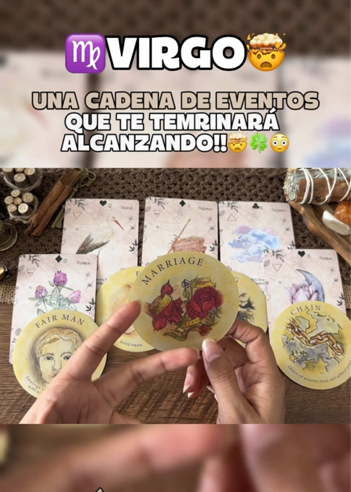 @Andy Sun Tarot ☀️