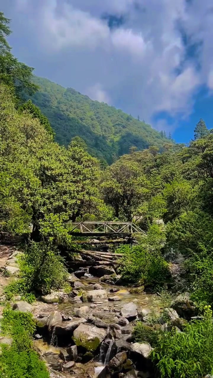 @थिँयाल 🌿