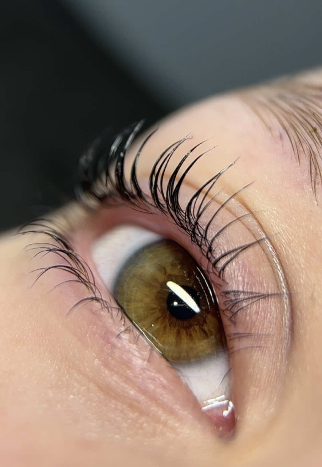 @lashes_asantseva
