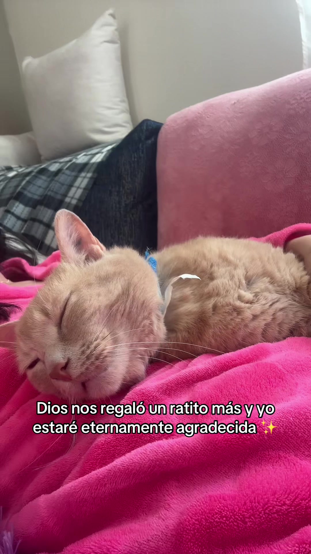@Sandi