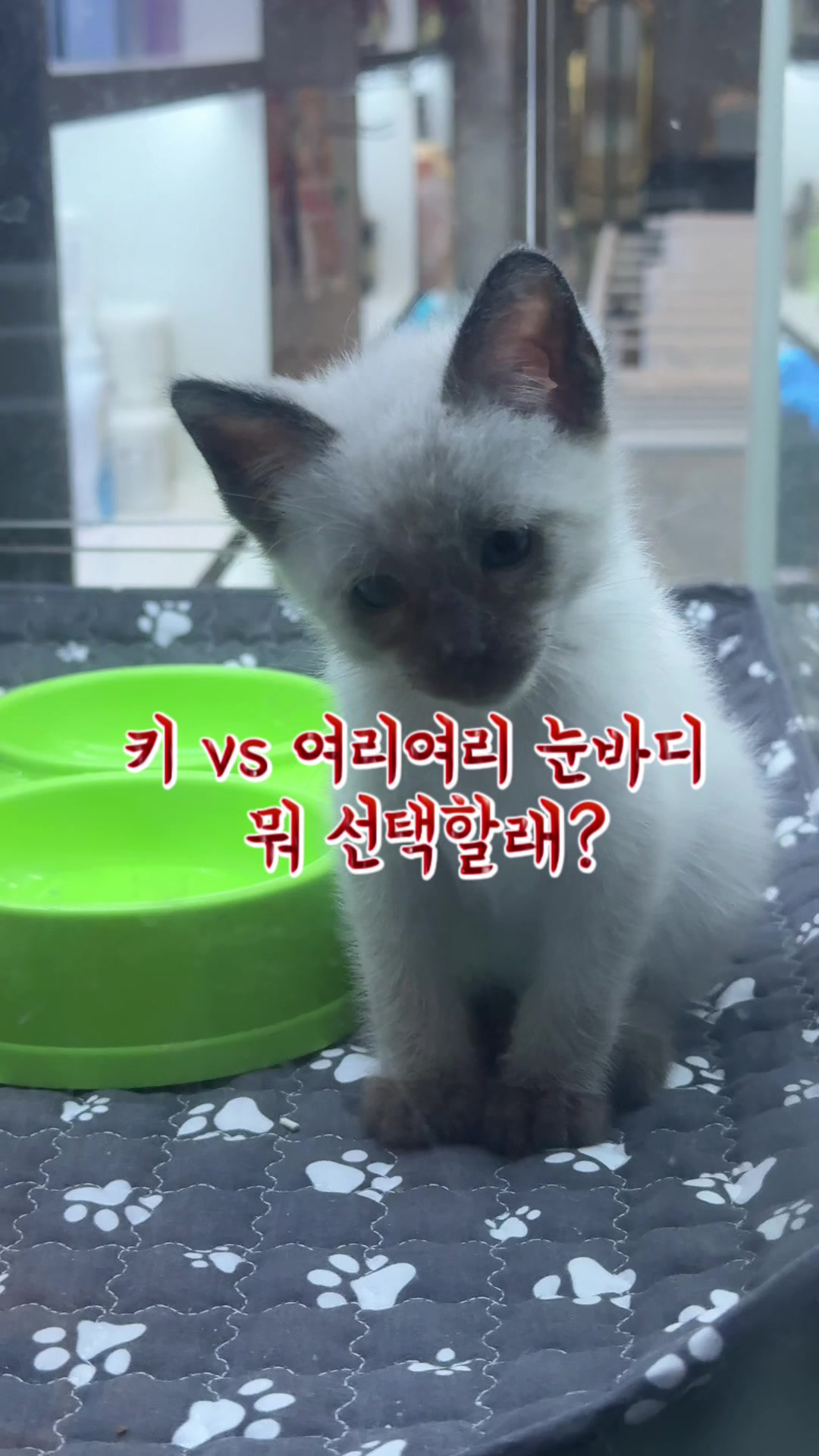 @상쾌한아침