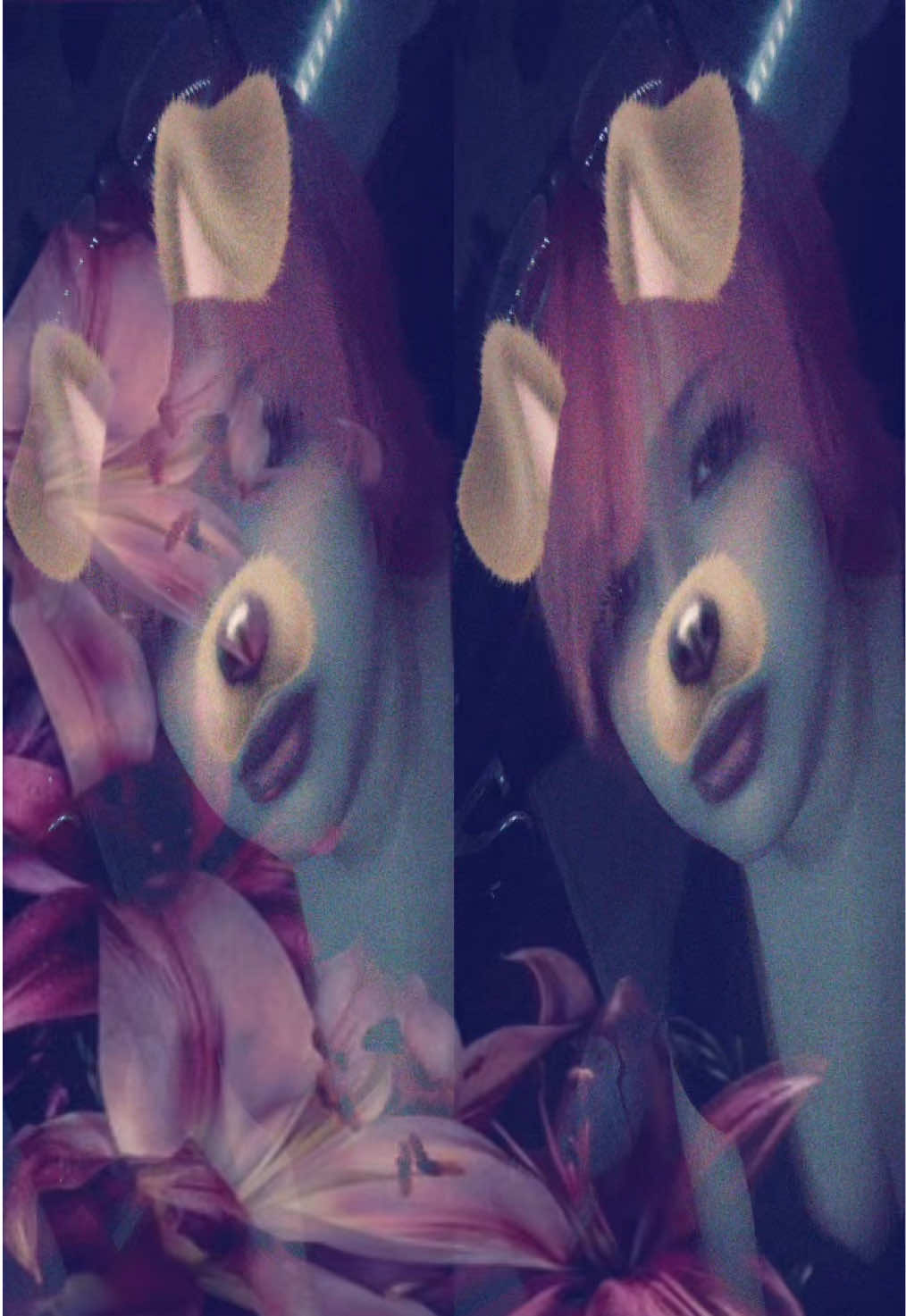 @⋆☽₊˚. 𓋹 hope𓋹.˚₊☾⋆
