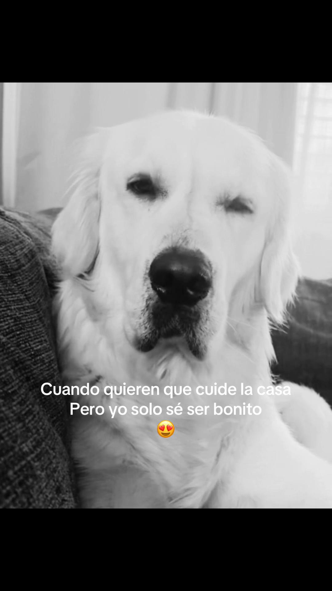 @𝐃ama 💎✨