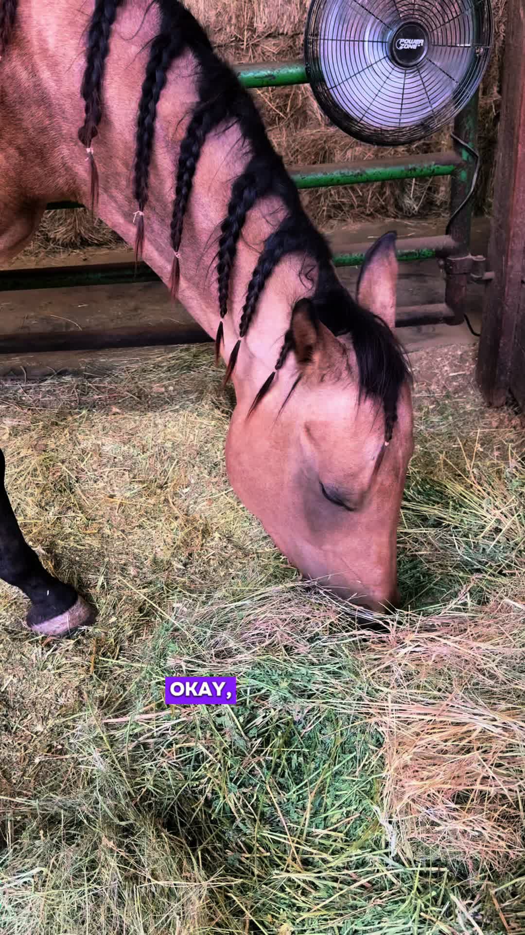 @Cowgirl Tuff Colt Training ❤️