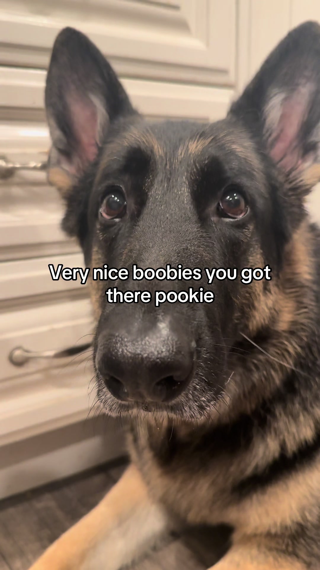@Bhris