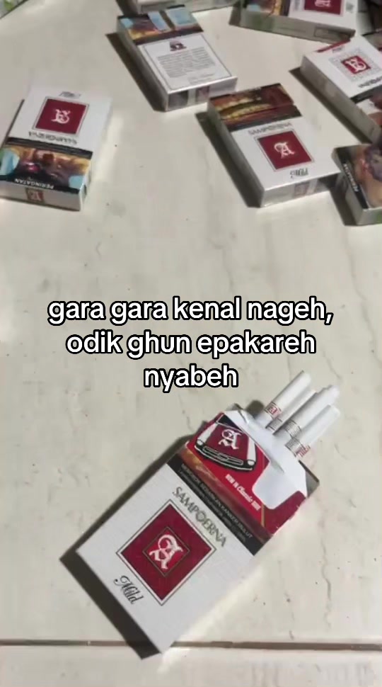 @sccbn2