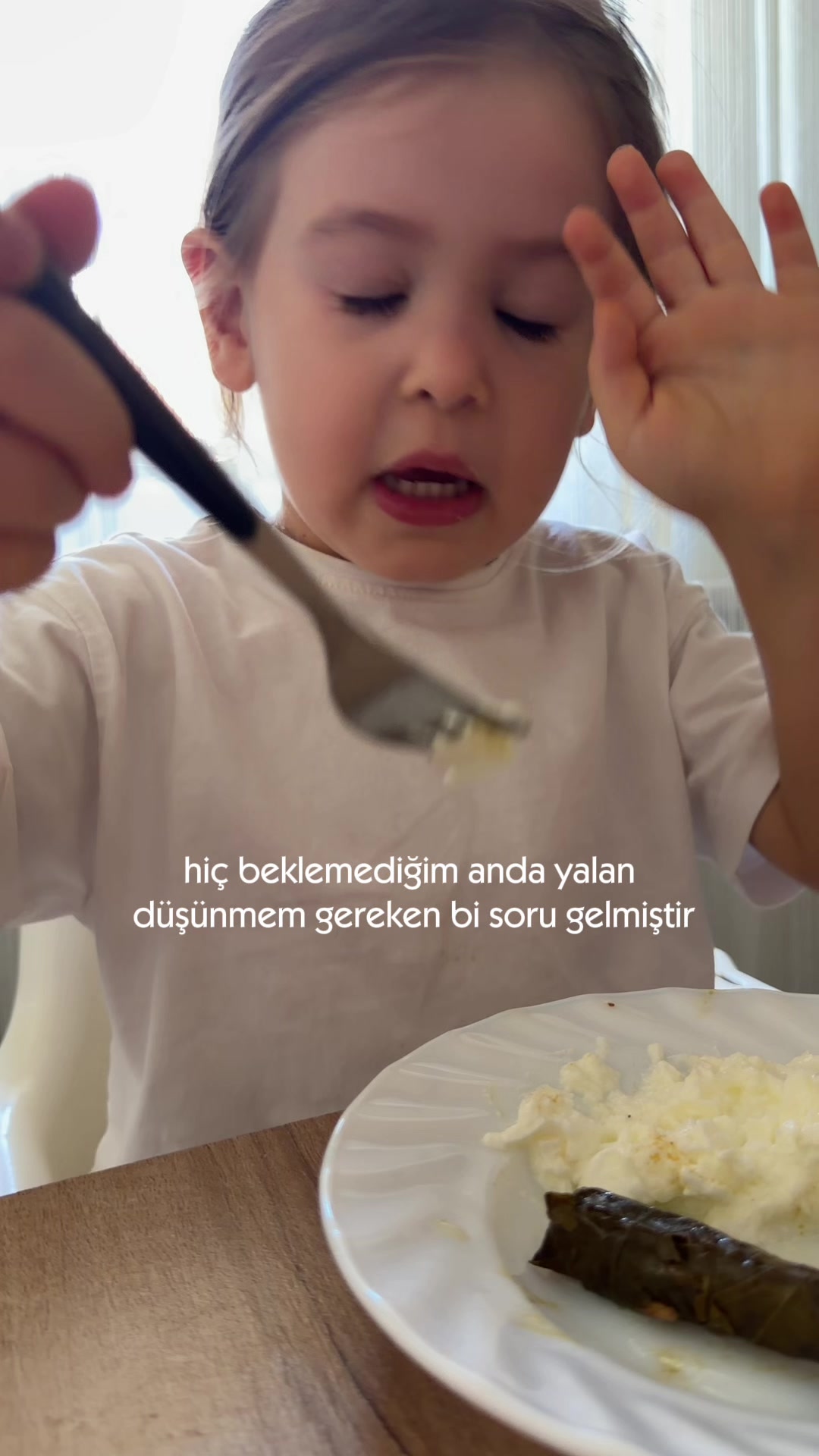@d.demetaslan