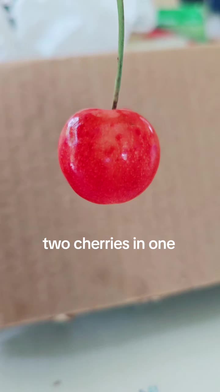 @jessicatodd185