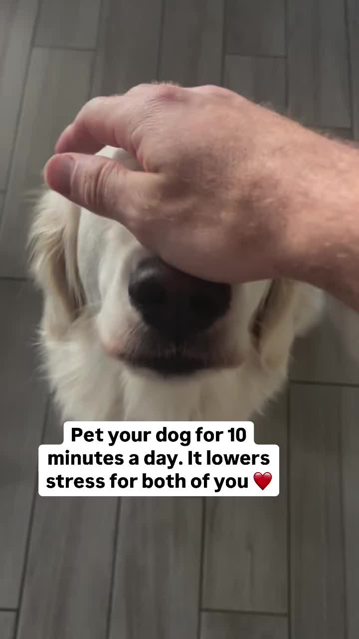 @PetFitness