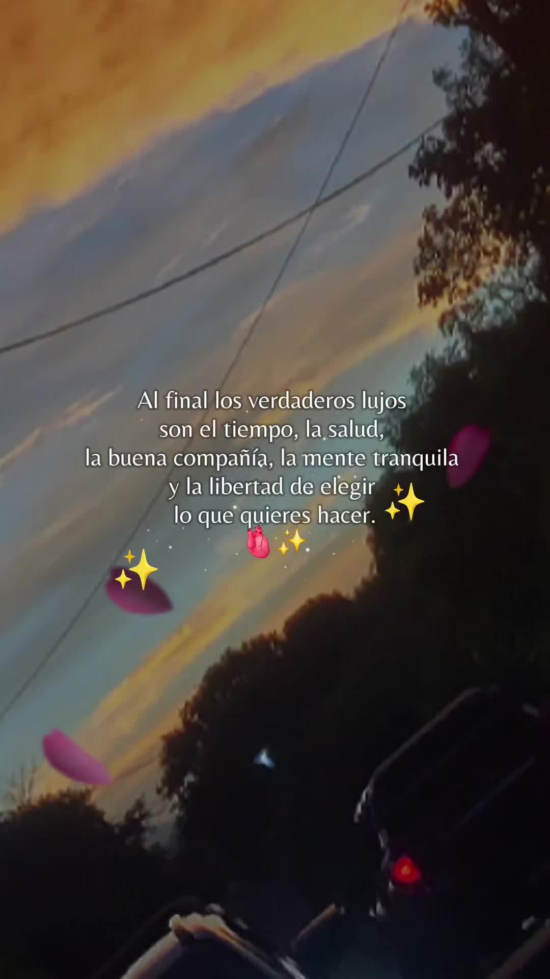 @๐ ๐ Bella ๐ ๐