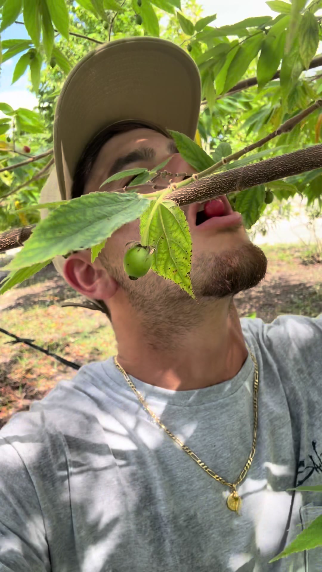 @will.harvest