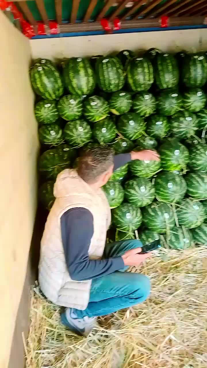 @@Zaki oskar