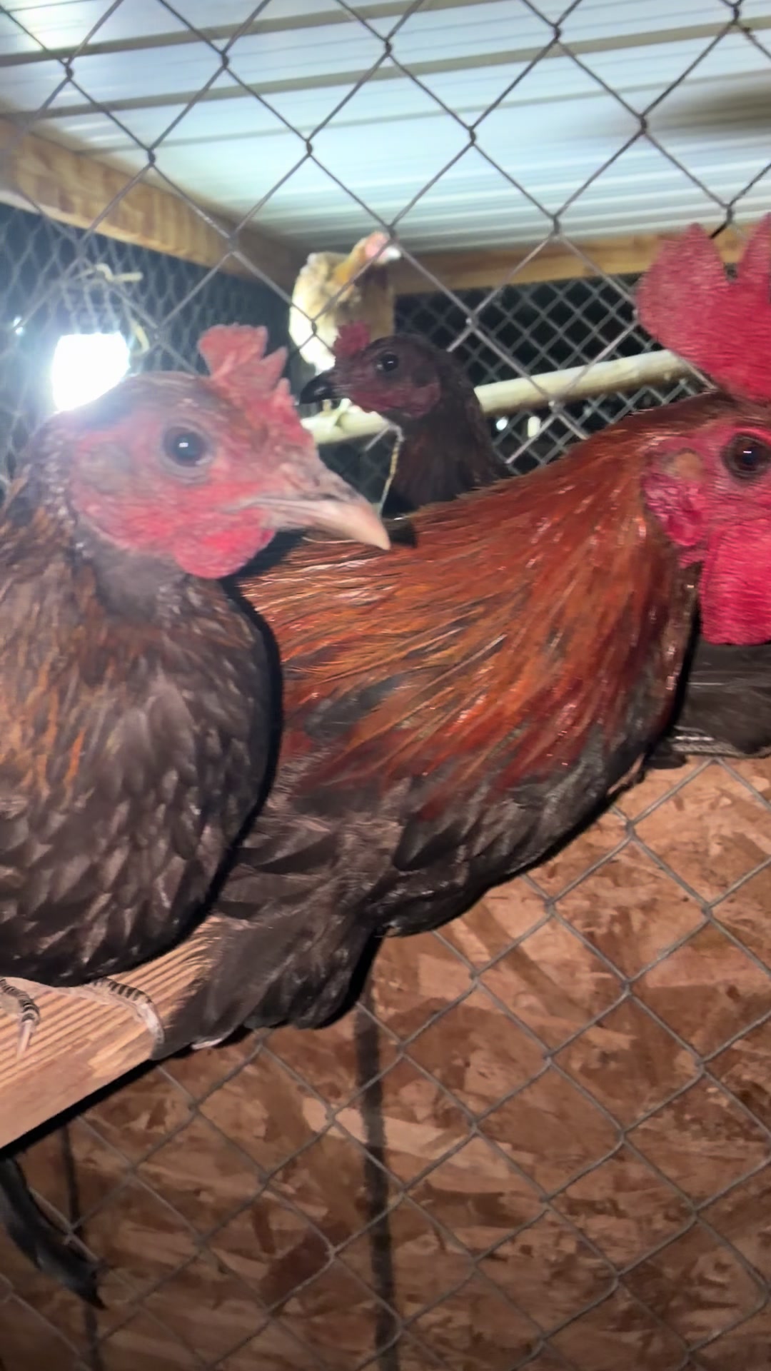 @A.MENDOZA.FARM.USA 74HWY