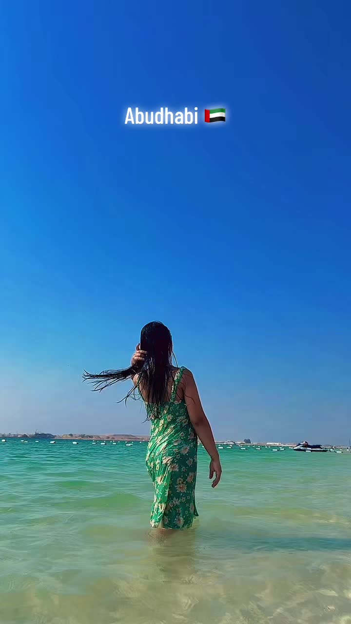 @2003🐷🐷🐷