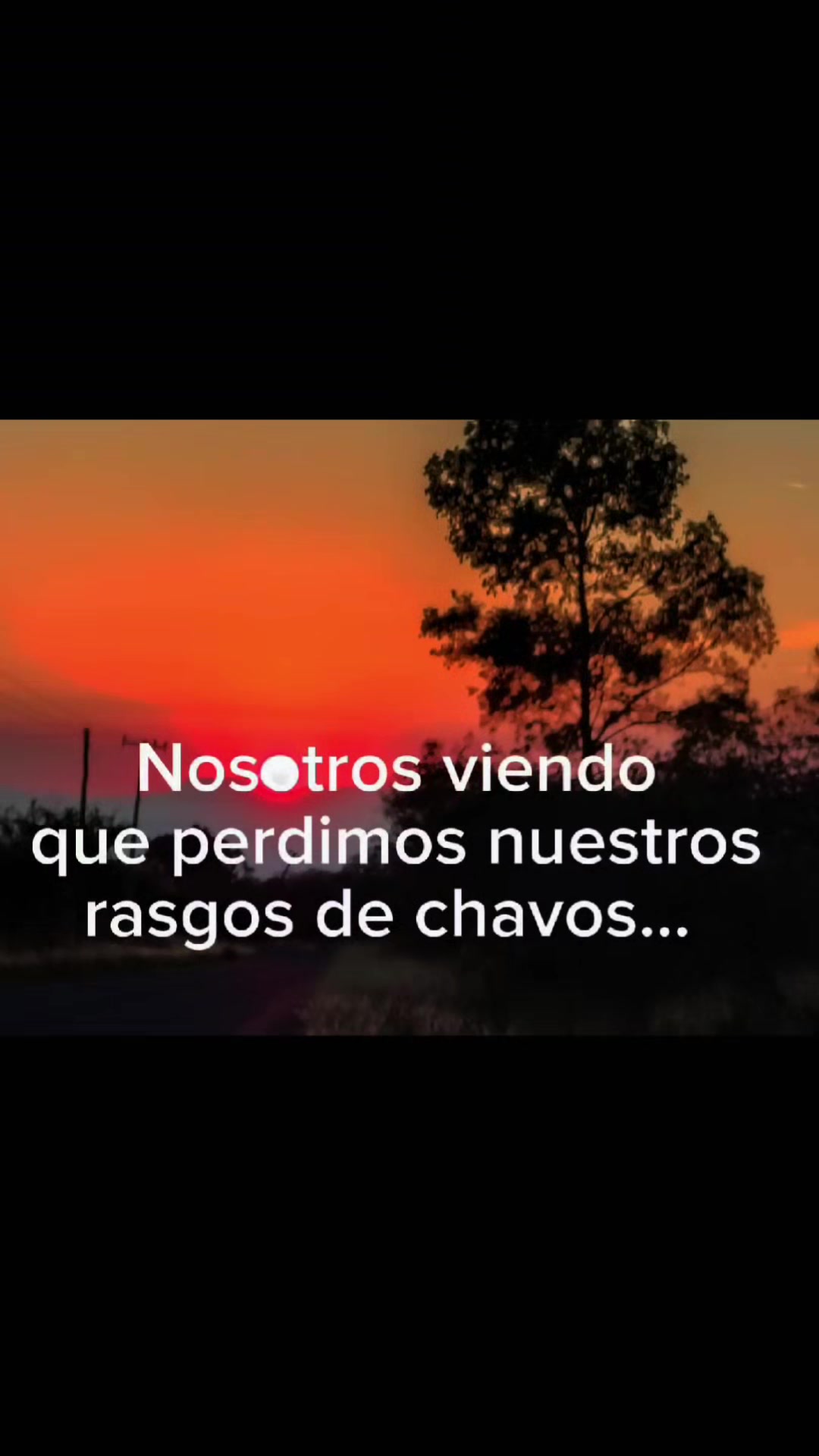 @Alees BV
