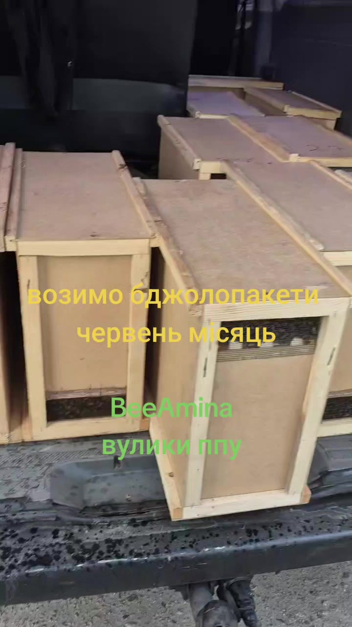 @BEEAMINA