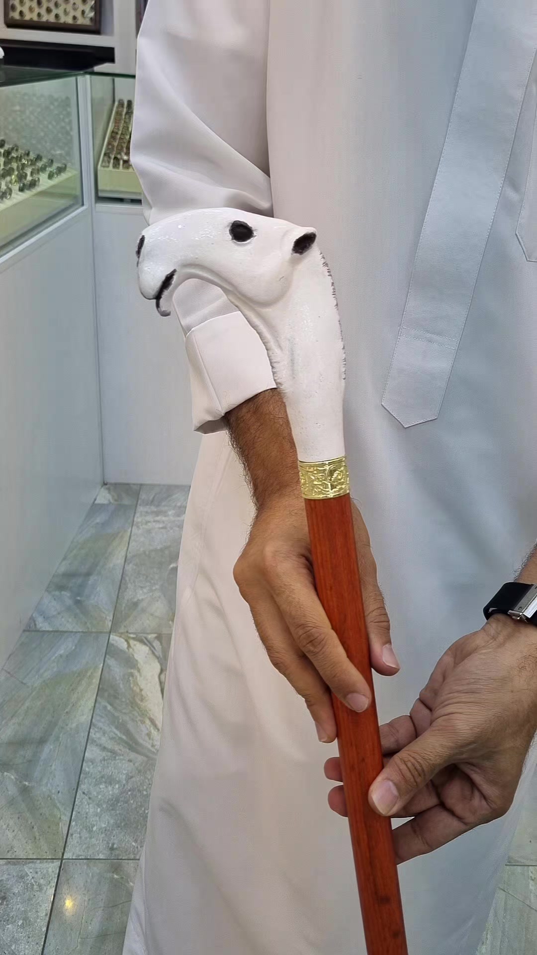 @الشيبان عكاز و عصا