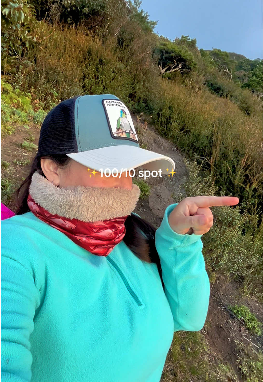 @rorocorrotea