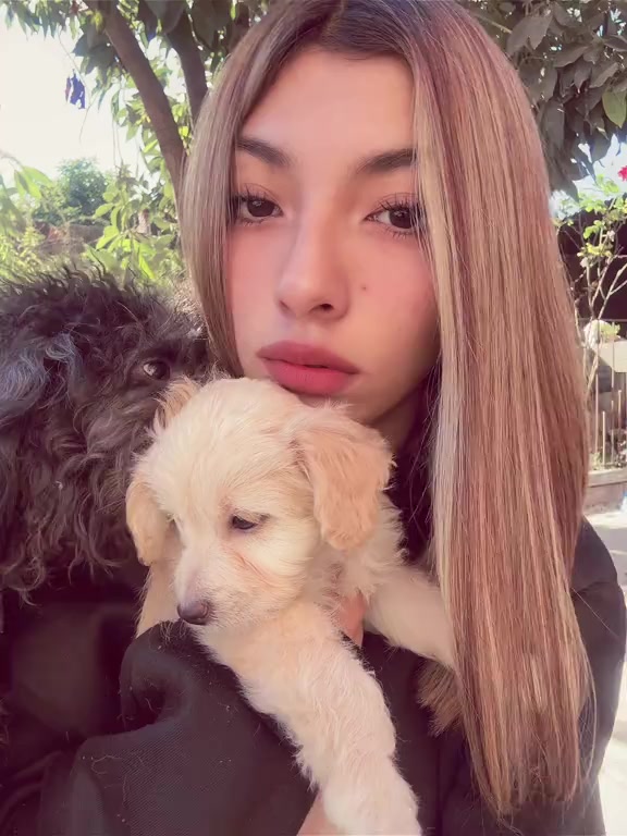 @dayan_ibarrios