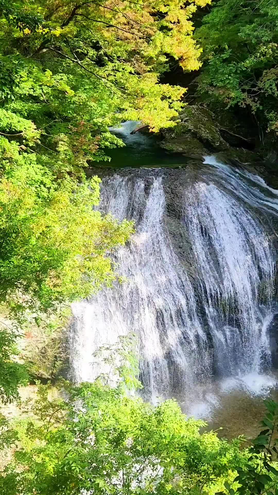 @ばっしー 東北を旅する人