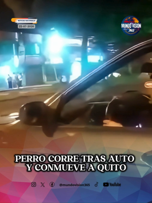 @MundoVision365