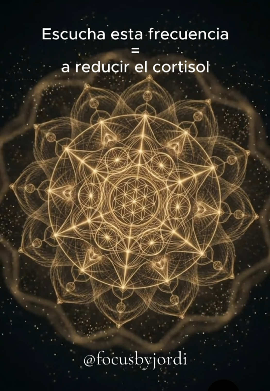 @Jordi | Neurociencia Musical
