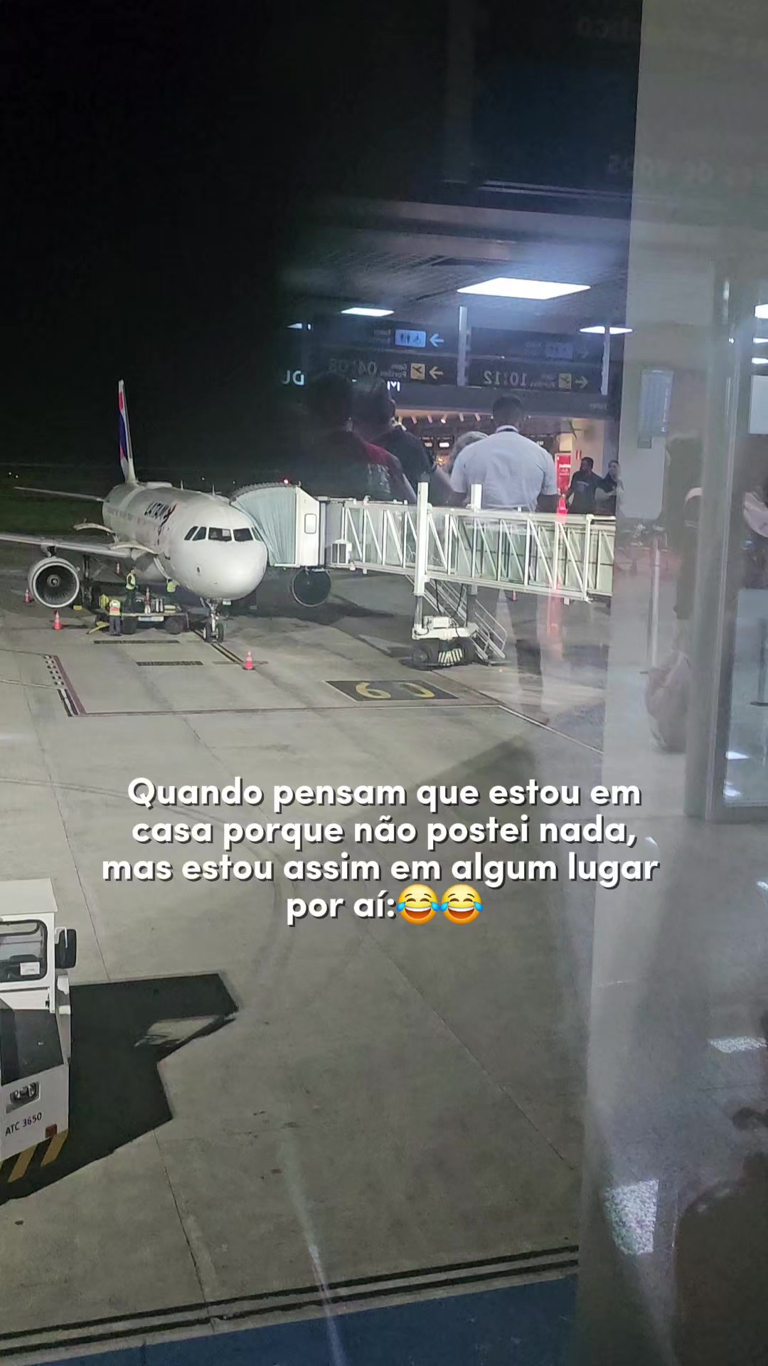 @Aline Matsen