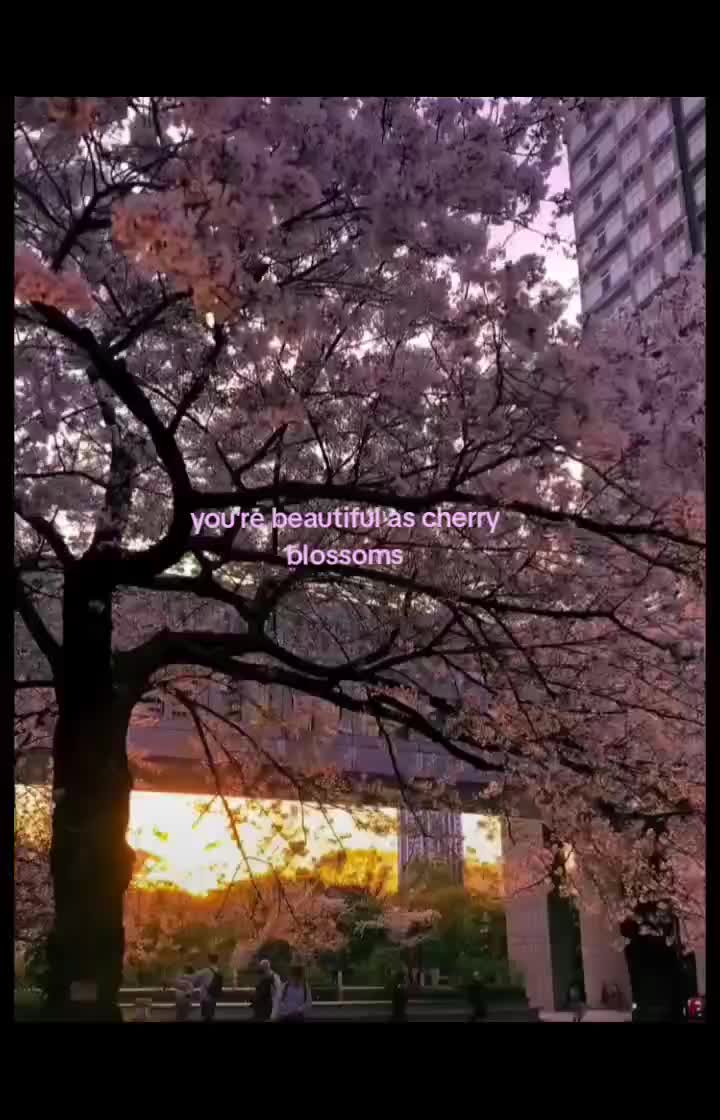 @kaliiboo