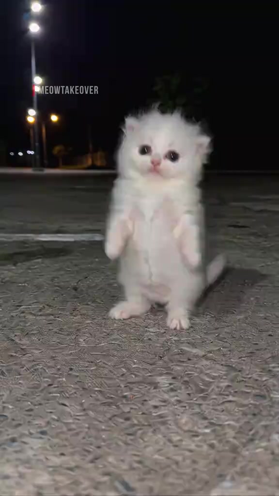 @〽️ⓐ𝐨&part;𝐨