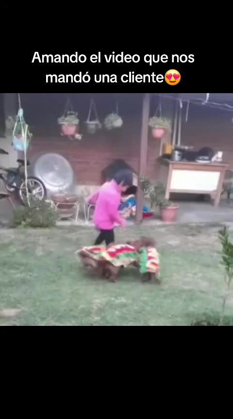 @Woof Bolivia