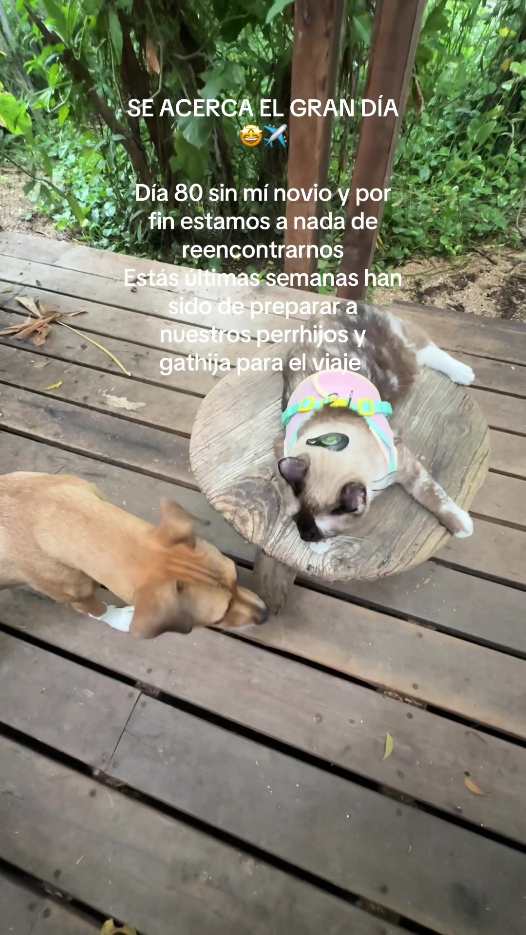 @Adriana Zafra VD