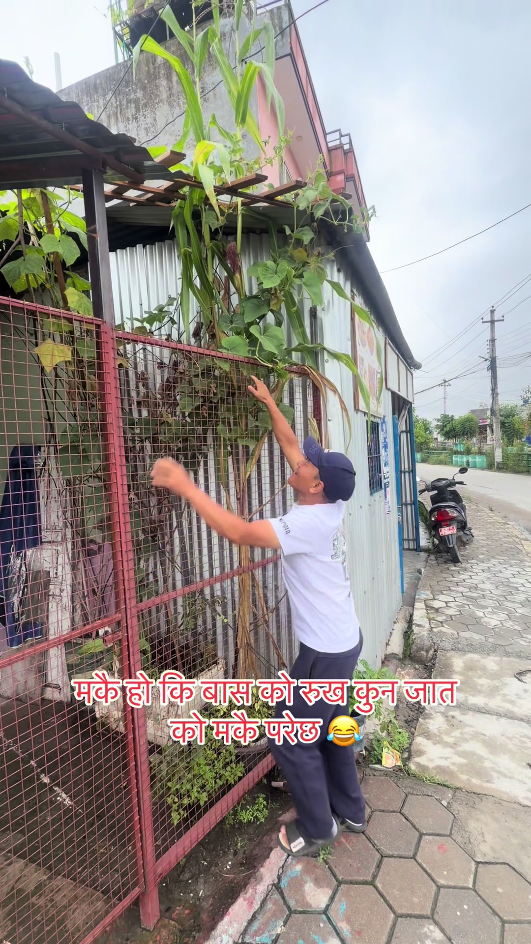 @@बि- भूषण पौडेल
