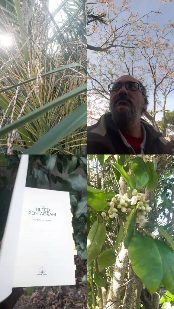 @Jacques | BookTok