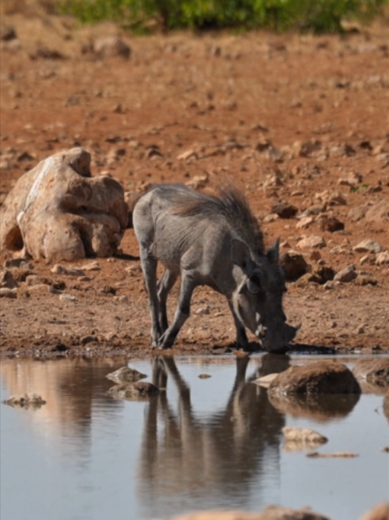 @Madbookings Travel Namibia