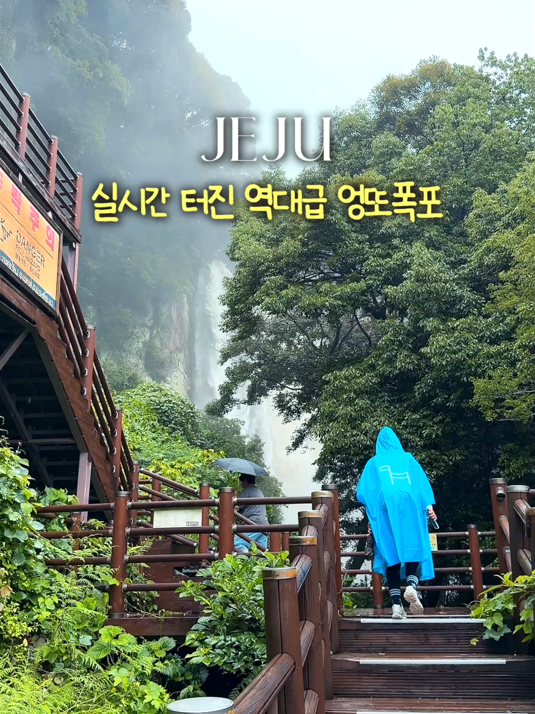 @제주도