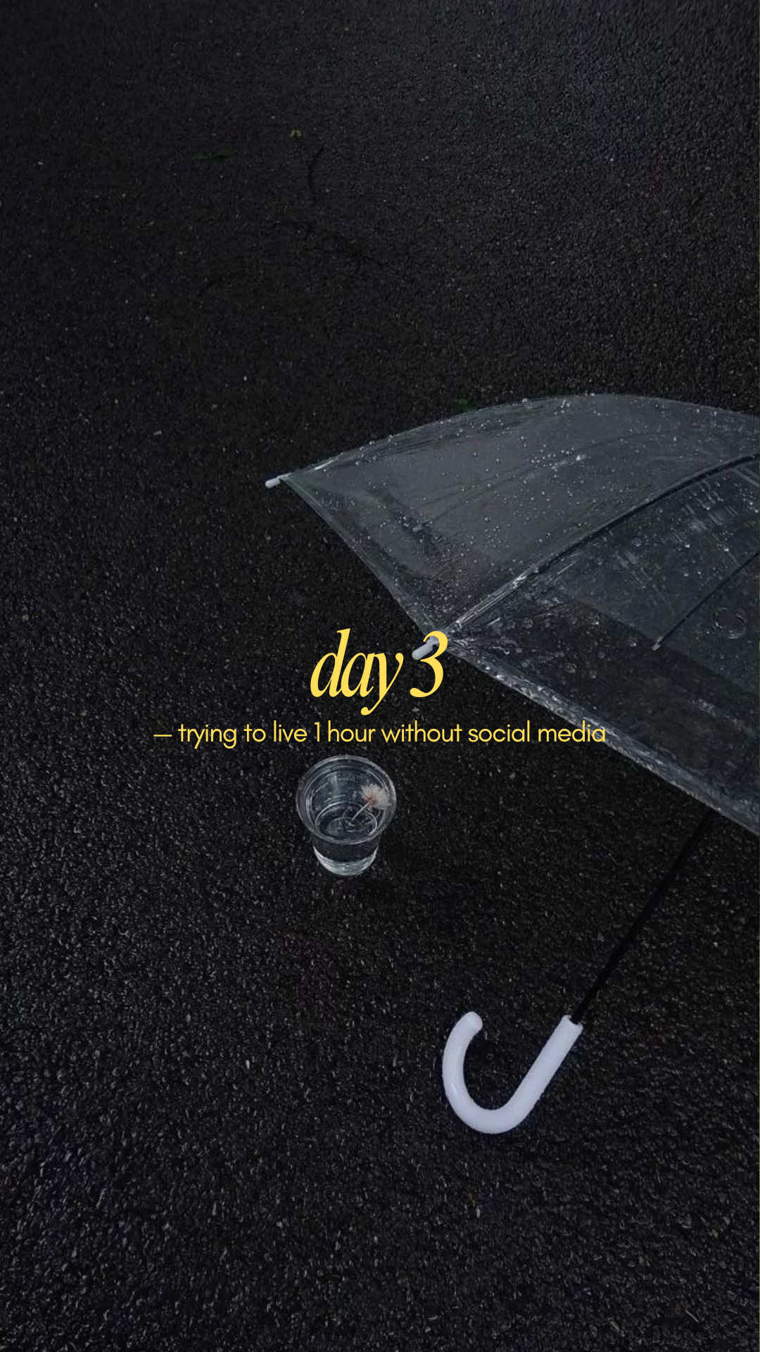 @Dian🌱