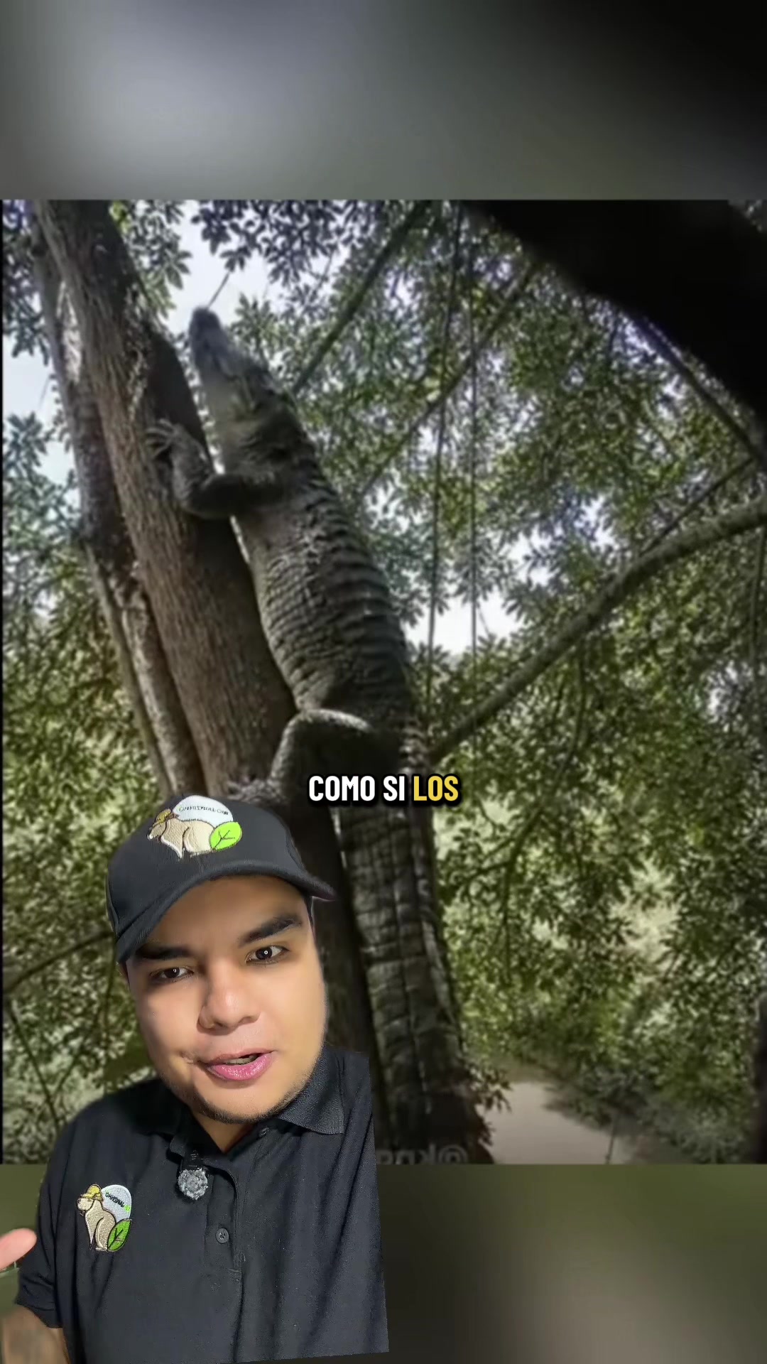 @Jair Herrera 🐆