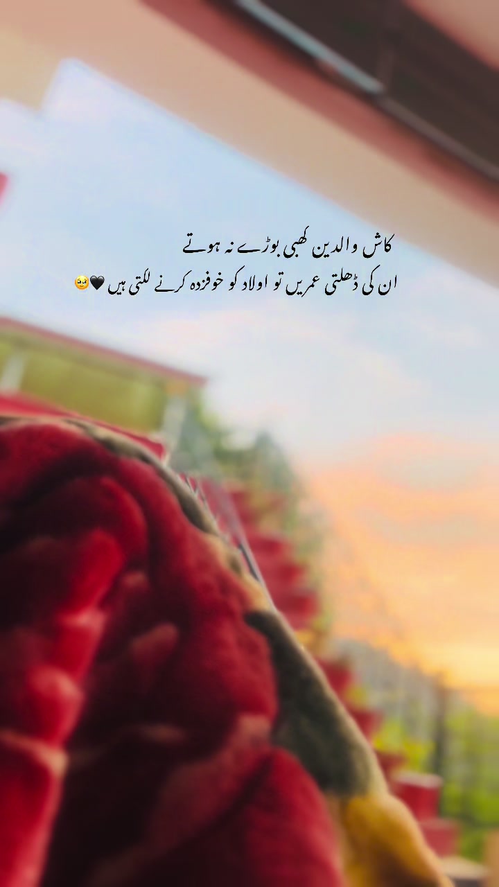 @سردار ✨