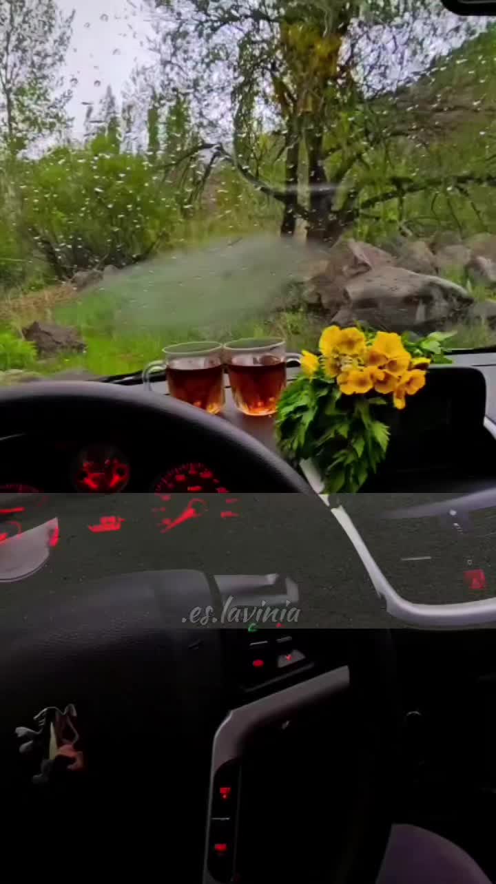 @꧁.𝑒𝑠.𝑙𝑎𝑣𝑖𝑛𝑖𝑎꧂